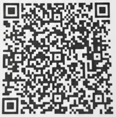 UPI QR Code